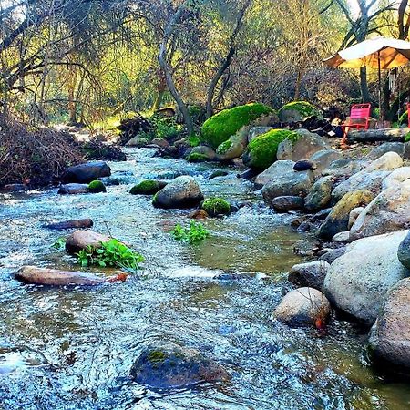 Magical River House ! 10 Min To Snp Park Entrance Three Rivers Ngoại thất bức ảnh