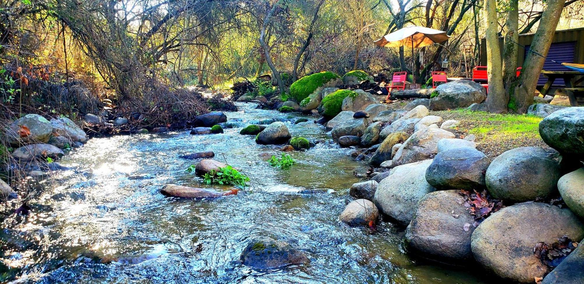 Magical River House ! 10 Min To Snp Park Entrance Three Rivers Ngoại thất bức ảnh